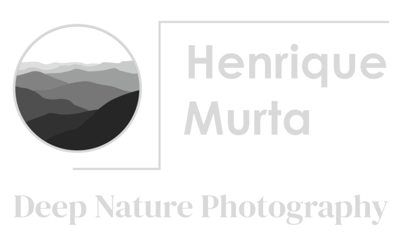 henriquemurta.com